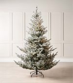 Christmas Tree - Ontario premium - Image 4