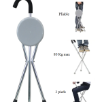 CANNE AVEC ASSISE